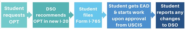 How to apply for OPT
