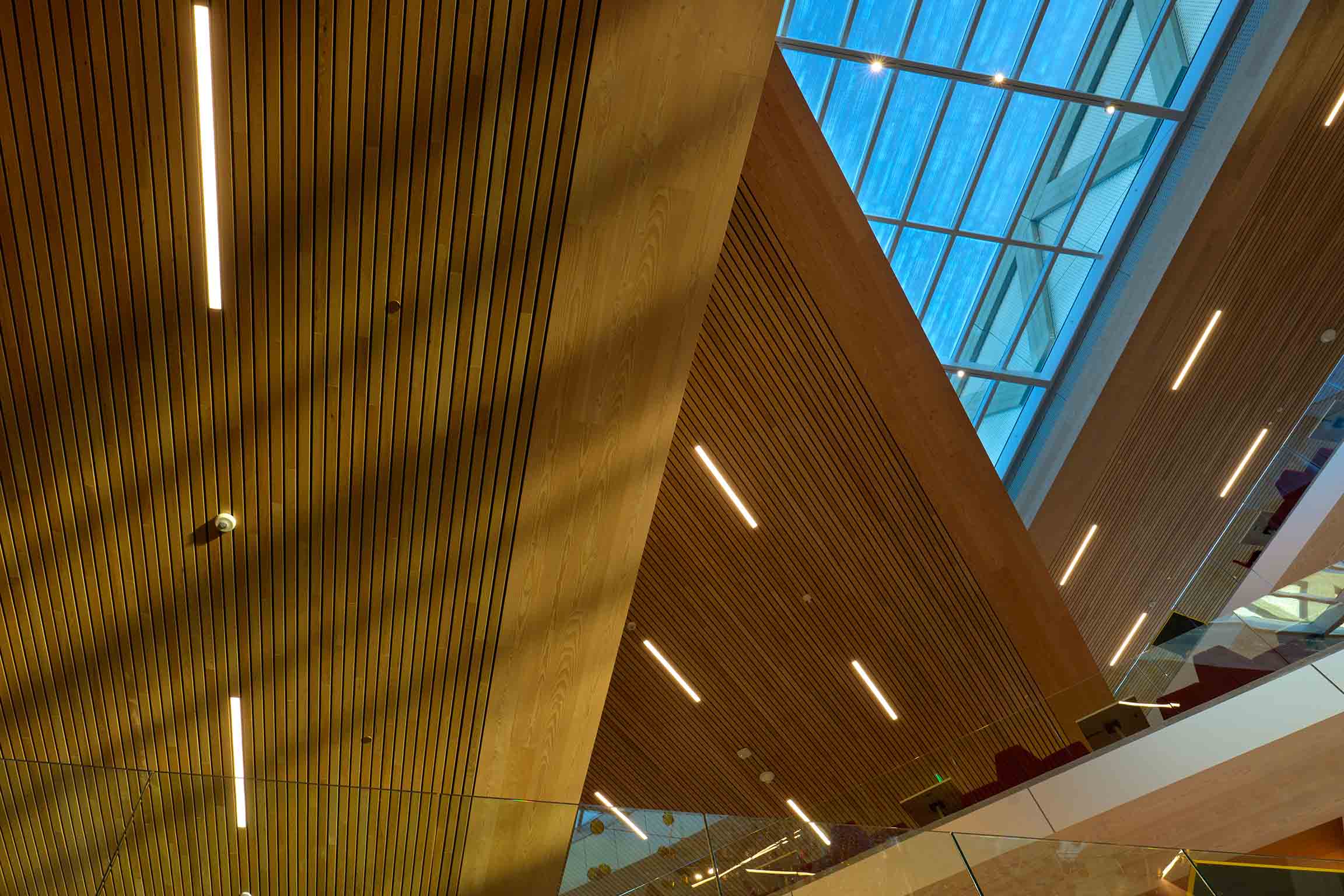 Textures and angles within the RDSC atrium.
