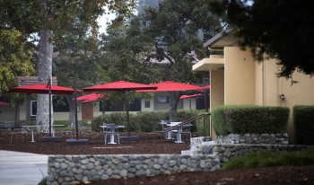 Plans for spring semester