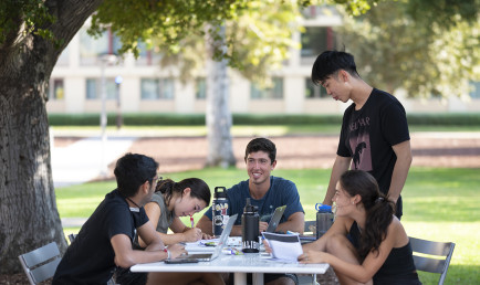 Five CMC students work and study together outdoors on a table beneath a tree, feeling free to express themselves.