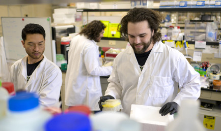 David Marash and team working in lab.