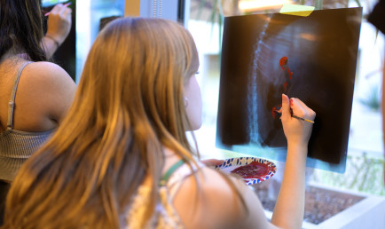 Linda Alterwitz doing presentation during her Ath talk, "At the Intersection of Art and Science."