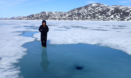 Prof. Branwen Williams